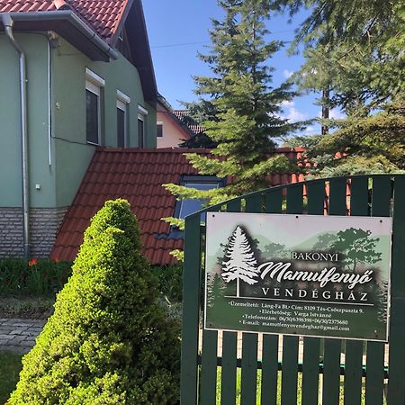 Tés Bakonyi Mamutfenyo Vendeghaz 아파트 외부 사진