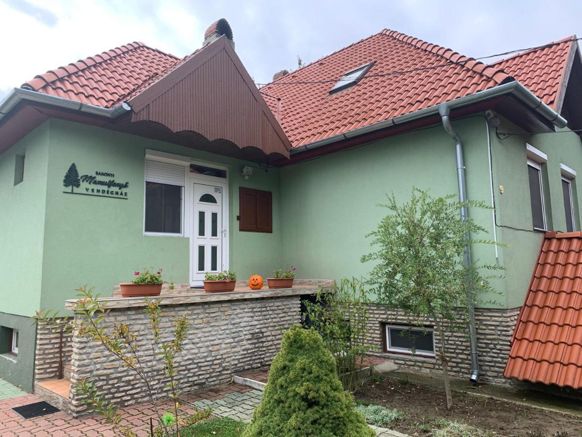 Tés Bakonyi Mamutfenyo Vendeghaz 아파트 외부 사진