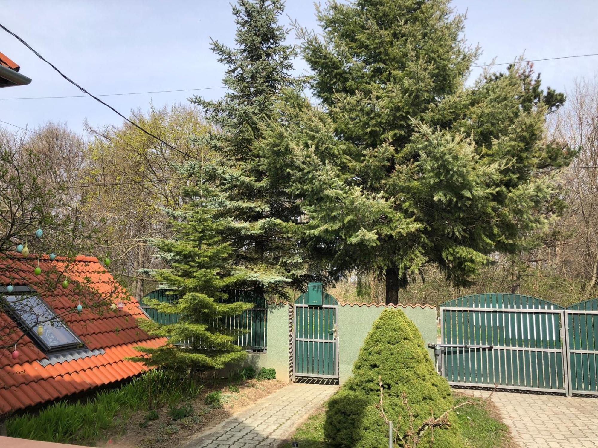 Tés Bakonyi Mamutfenyo Vendeghaz 아파트 외부 사진