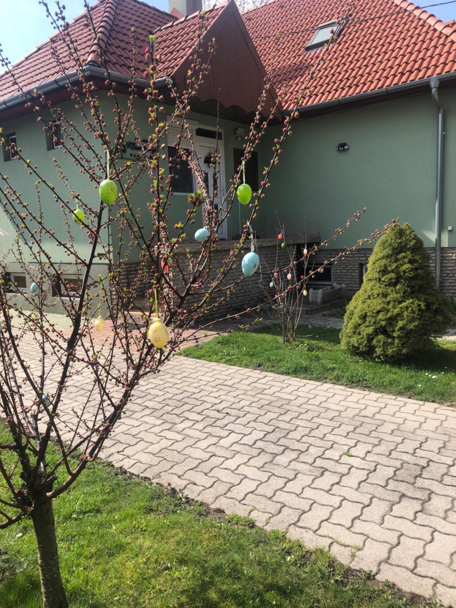 Tés Bakonyi Mamutfenyo Vendeghaz 아파트 외부 사진